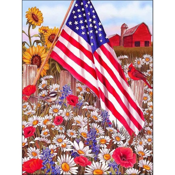 (30x40cm) Diamantmaleri Kits til Voksne, Amerikansk Flag, Di