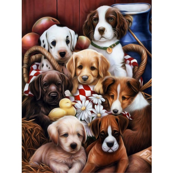 30x40cm Kit#C 5D DIY Diamantmaleri, Hunde Diamond Painting,