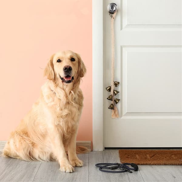 Dörrklockor, Hundklockor för potträning, Husdjurstillbehör, Hund B