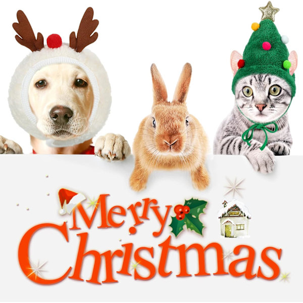 2 stk Grøn Julemandshund Hat Hjorte Hundekostume Julehat til Katte Rensedyr Hvalpe Hundelåg Justerbar Juletræ H