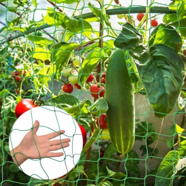 Netting for klatreplanter Hage espalier netting 2m x 5m Klatreplante støtte fiksering netting Hage