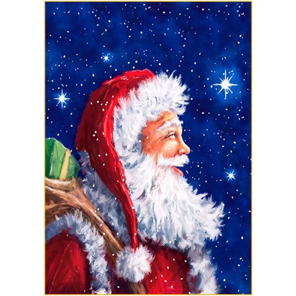 5D julediamantmaleri (30*40) 9