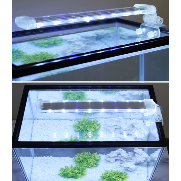 (12cm) Nedsenkbar LED akvarielampe for planter hvitt og blått lys 3W