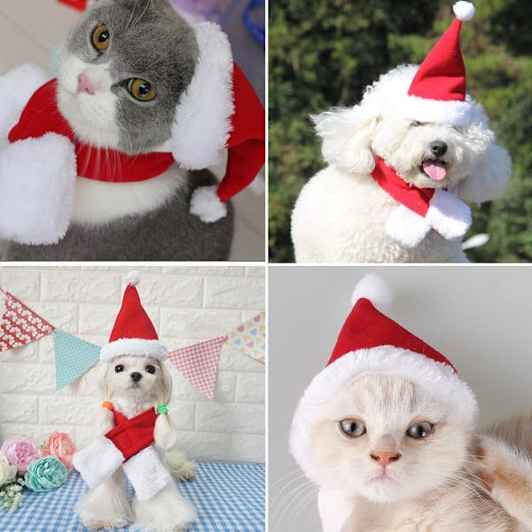 2-pack Juldräkt för Katt, Jultomtehatt med Halsduk för Valp Katt Julparty Kostymtillbehör