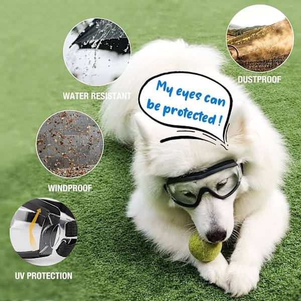 Hunde Goggles Udendørs Øjenbeskyttelse Justerbar Rem Nem at
