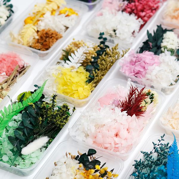 Bevarede blomster tørrede blomster DIY materialepakke flydende flo