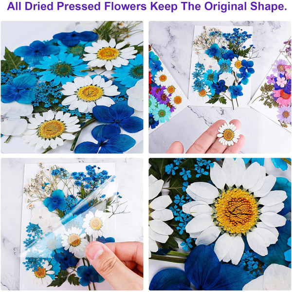 106 Pieces Real Dried Pressed Flowers Natural Dried Flowers Multi