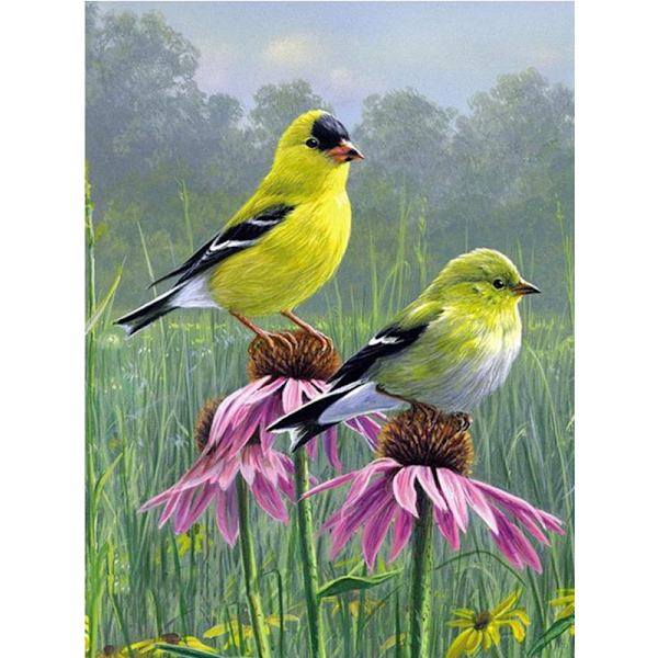30 × 40 Pieni timanttivarpunen maalaus (30 * 40, 1 kpl