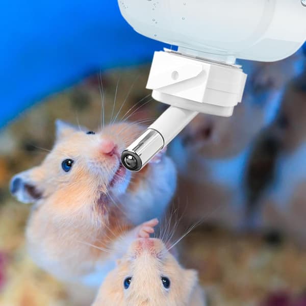 Hamster vandflaske, lille dyredrikker - lille kæledyrsfoderdispenser