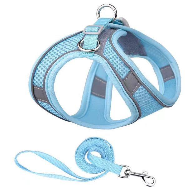 Pieniä koiria varten tarkoitettu valjaat, ei vedä, pieni koiran valjaat ja hihnasarja, valjaat pienille koirille, Sma Light Blue