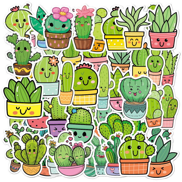 50 kaktustarraa