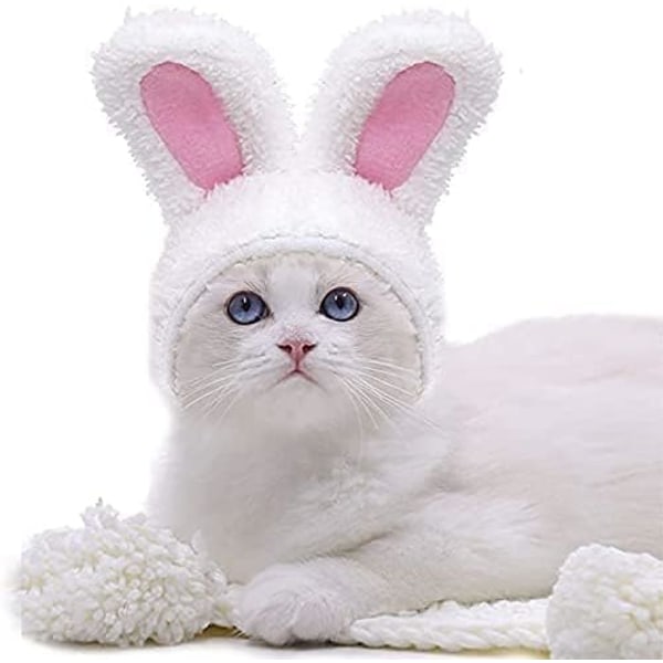 Påske kattekostume - Sjovt kattekostume - Justerbar størrelse - Bunny Co