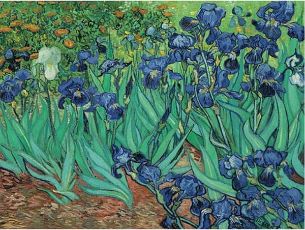 (30x40cm) 5D Diamantmålning Van Gogh 3