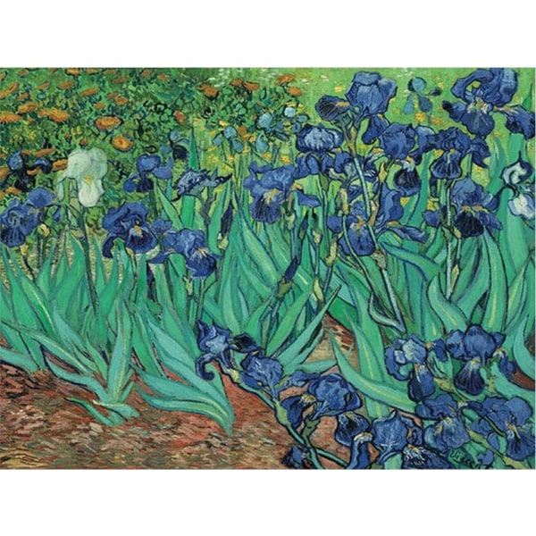 30X40Cm Diamantmaleri Fuld Diamantbroderi Van Gogh Iris Diamantmosaik Korssting Picutre O