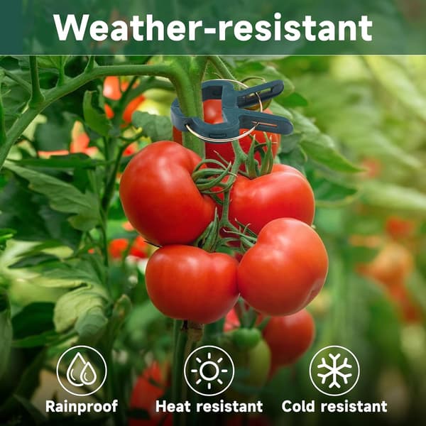 60 Stycken Klätterväxtklämmor, Tomatklämmor, Växtklämmor, Tomatklämmor (2 Storlekar)