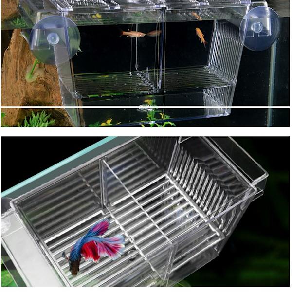 Yngelrum, 20,5X9,9X9,5 cm - 3 i 1 Akvarium Fiskuppfödningstank med Lock, Flytande, Transparent