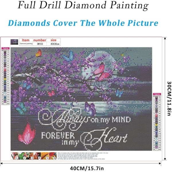 (30x40cm)5D DIY-diamantmalersæt til voksne og børn, F