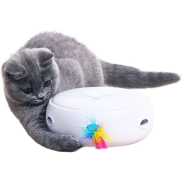 Blue Dream Jouet Chat Interactif, Jeux pour Chat Automatique à