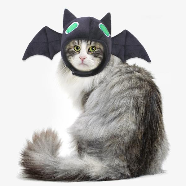 Lemmikki Halloween-hattu - Teddy-naamiaisasu lepakko päähine
