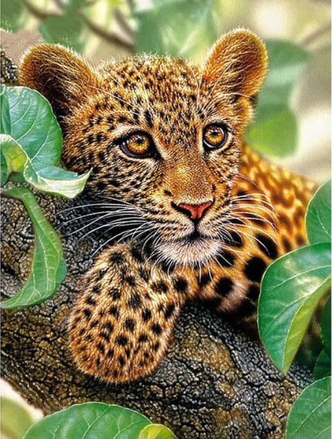 30 x 40 cm, leopard diamantmålning broderi diamantmålning