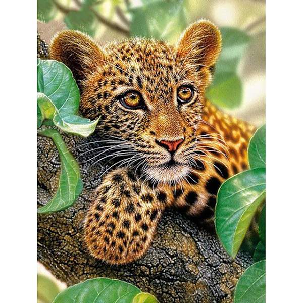 30 x 40 cm, leopardi timanttimaalauskirjonta timanttimaalaus