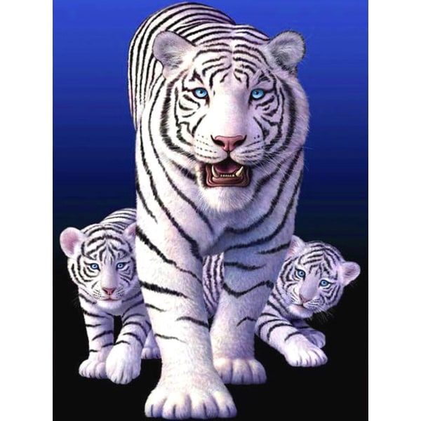 30 x 40 cm ,trois tigres blancs Diamantmaleri Broderie Diama