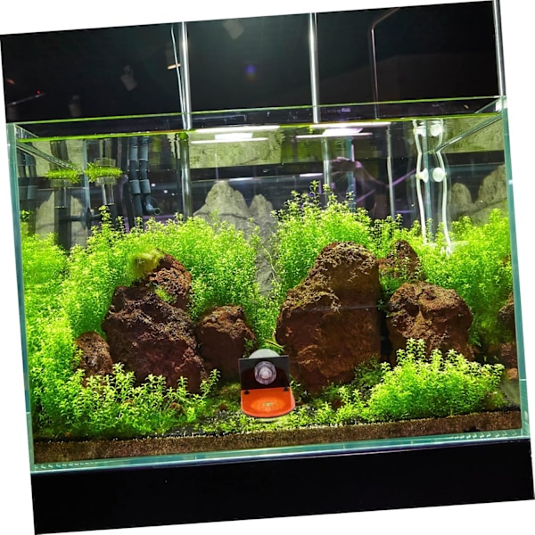Akvariestativ Akvarium Fluorescerende Revstativ Fisk Materiale: Akryl akryl stativ koralrød stikbase