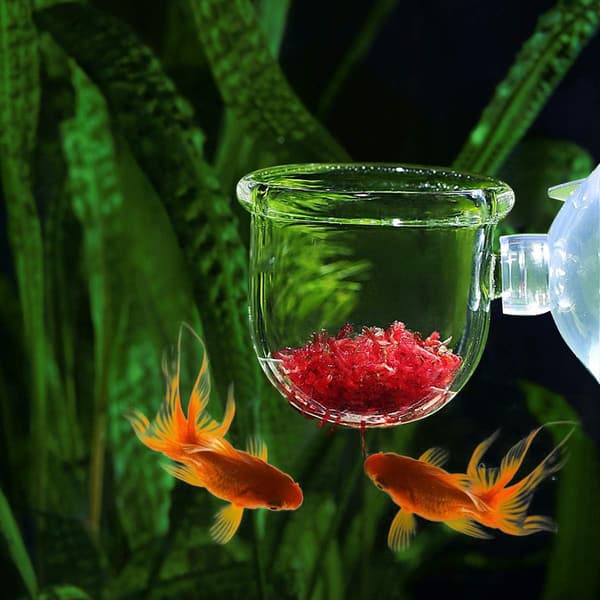 Røde Orme til Akvarium - Krystalglas - Fiskefoder - Sole - Rejer - Rød Orm - Akvariefoderdispenser med Sømme