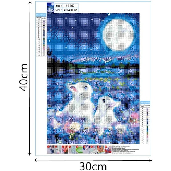 5D DIY Timanttimaalaussetti Strass Complet, Broderie Point de C