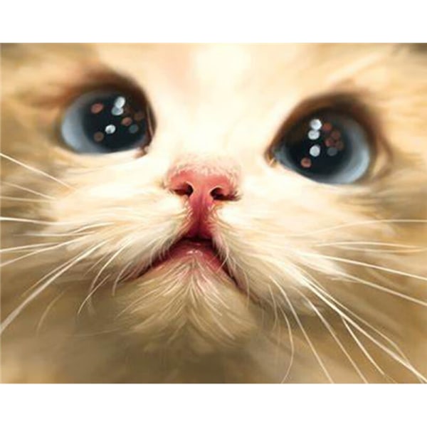 30 x 40 cm ,chat avec de grands yeux Diamantmaleri Broderie