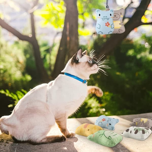5-pack kattmynta leksaker, kattmynta leksak set