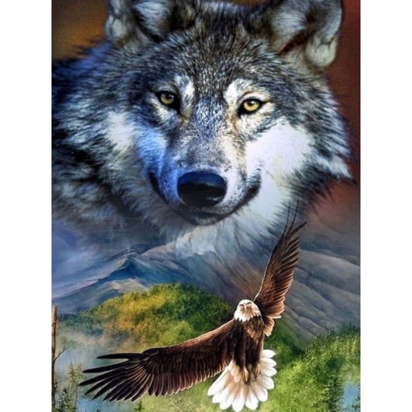 30 x 40 cm ,loup et aigle Diamond painting Broderie Diamant Pei