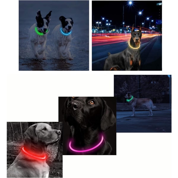 USB uppladdningsbar ljus upp blinkande hundhalsband justerbar lins