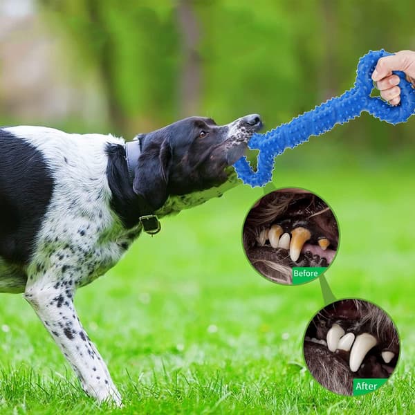Hundes tyggeben i form af knogle