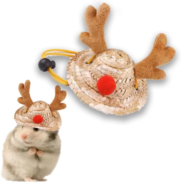 Hamster Tøj Sød Marsvin Tøj Hamster Tilbehør Til Ægte Hamstere Slange Hat Håndlavet Strikning Langvarig U