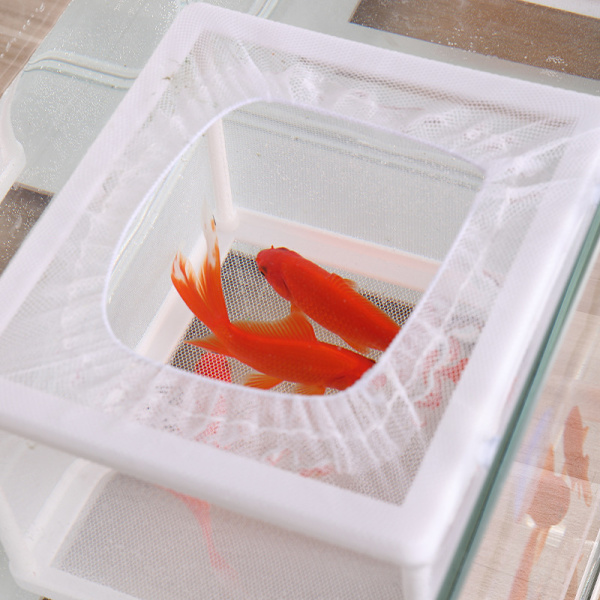 Akvarium fisk isoleringsbox, 26 * 15 * 15,5 cm, stort kläckningsnät, fiskinkubator akvarium fisk