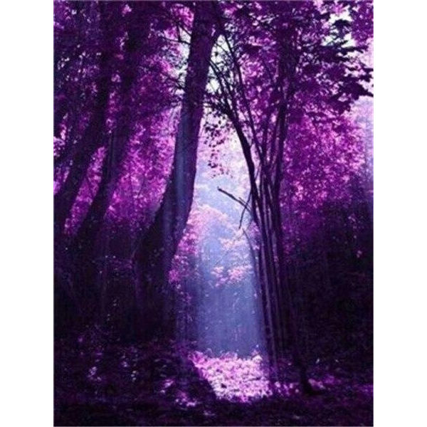 30 × 40 Violetti Metsä Timanttimaalaus (30 * 40, 1 kpl) Diamo