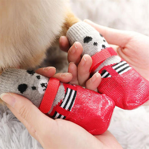 (S) 4 Självhäftande mjuka hundskor halkfria hundskrapsockor för att förhindra slickande tassar, halkfria