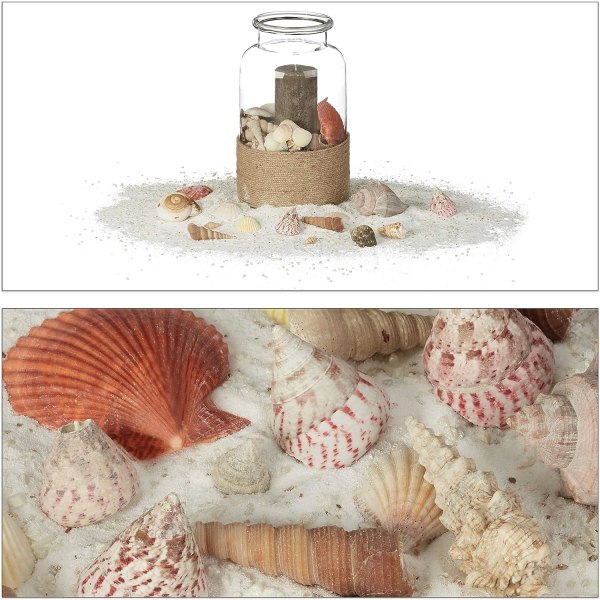 Mixed Beach Sea Shells, Natural Colorful Sea Shells Perfekt för