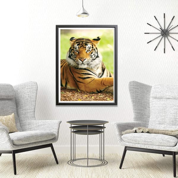 (30x40cm) 5D Diamantmålning Tiger 26