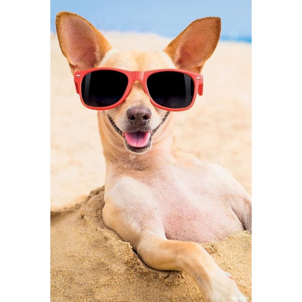 (30x40cm) DIY 5D diamantmalerisæt Chihuahua hund med sol