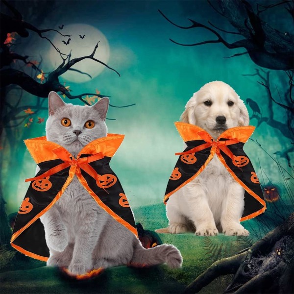 (Hatun kanssa) Lemmikkien halloween-asu, halloween-lemmikkipuku, Pet Hallowe