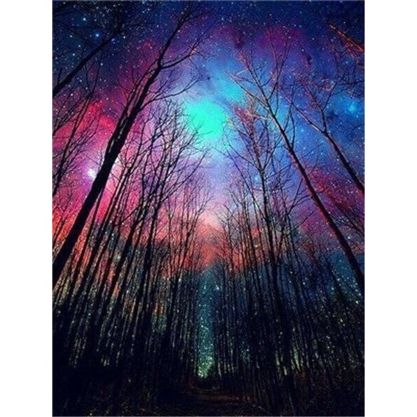30 x 40 cm ,ciel nocturne dans la forêt Diamond Painting Broder