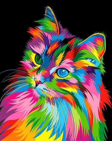 5D DIY Diamantmalerisett, Katt 5D Diamantmaleri, Diamantkunst
