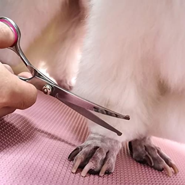 Hundtrimningssaxar med Säkra Runda Spetsar i Rostfritt Stål Professionellt Hundtrimningssats - Tunnande, Böjda Saxar