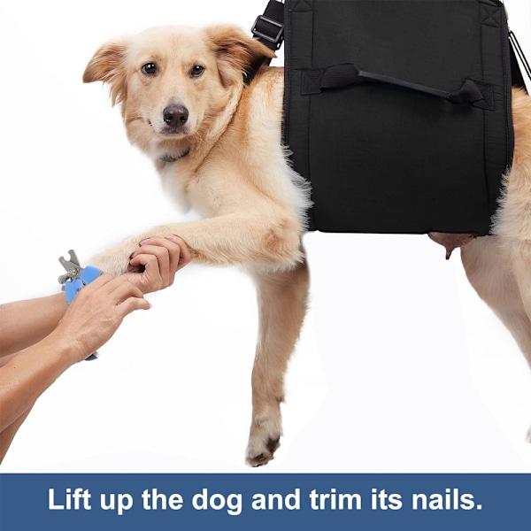 Koiran kantolaukku, hätätilanteiden reppu lemmikkieläinten jalkojen tukeen vanhoille koirille Suitable for dogs 80-130lb