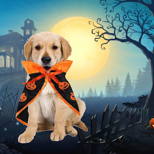 （Hatun kanssa）Lemmikkieläinten Halloween-asu, Halloween-lemmikkieläinten asu, Lemmikkieläinten Hallowe