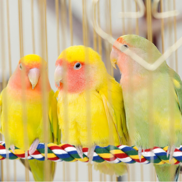 Papegojställning Rep Budgie Klätterrep Fågelbur Leksak Tillbehör för Kakadu/Lovebirds (80cm)