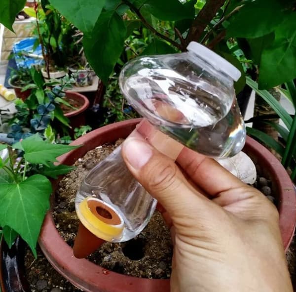 2 st konformade bevattningsflaskor 300 ml, inomhusväxt lerboll, Au