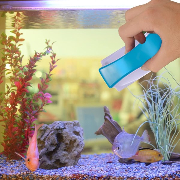 Magneettinen akvaario Fish Tank Lasileväkaapijat Glass Cleaner Sc